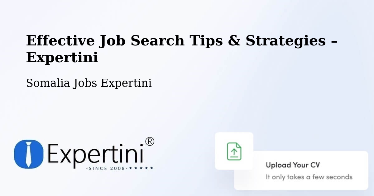 Job Search Tips & Strategies for Job Seekers – Eyl - Eyl, Somalia Jobs Expertini